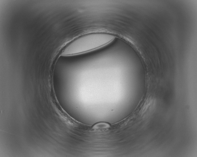 X0000068260345200604210920