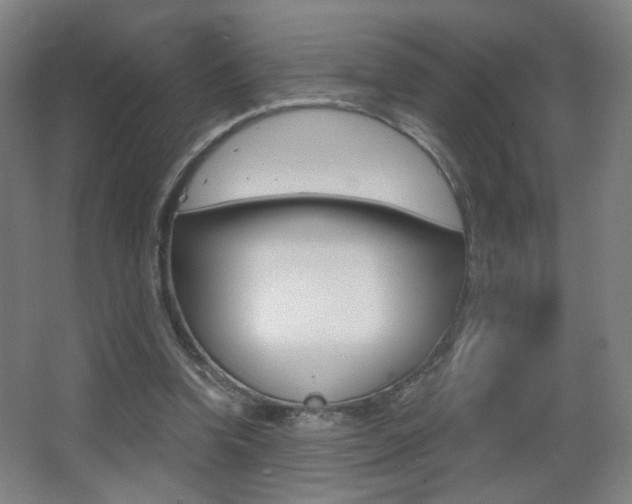 X0000068260346200604210920