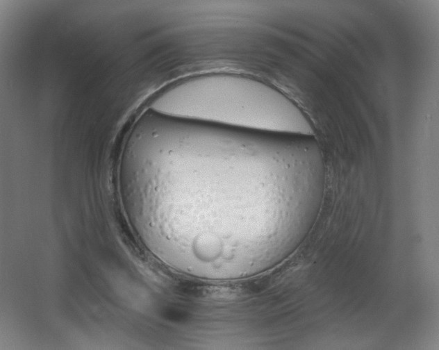 X0000068260347200604210920