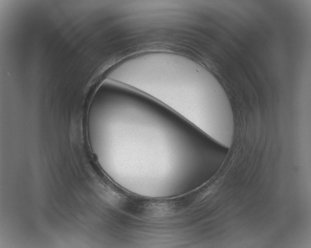 X0000068260349200604210920