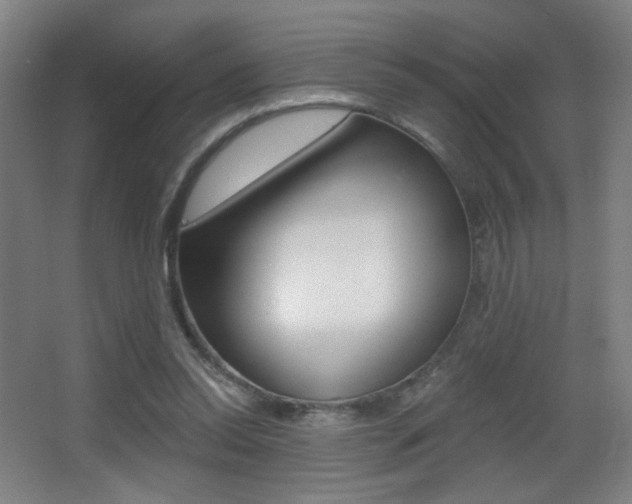 X0000068260350200604210920