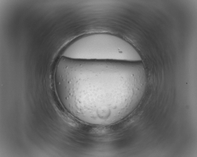 X0000068260351200604210920