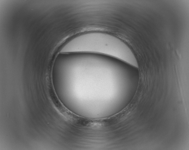 X0000068260352200604210920