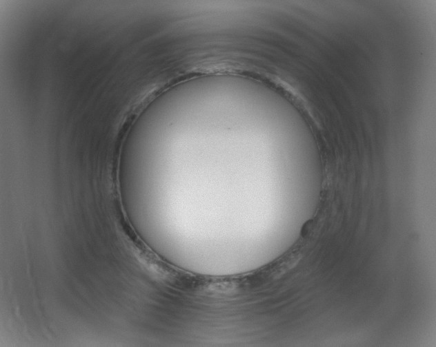 X0000068260353200604210920