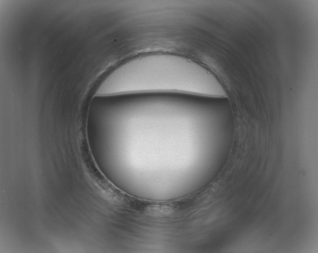 X0000068260354200604210920