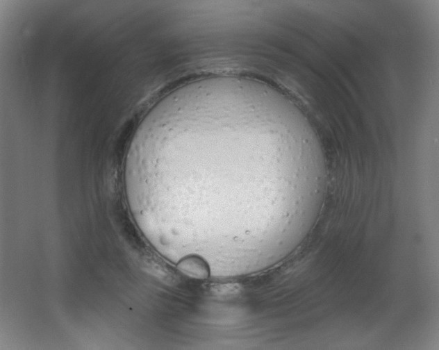 X0000068260355200604210920