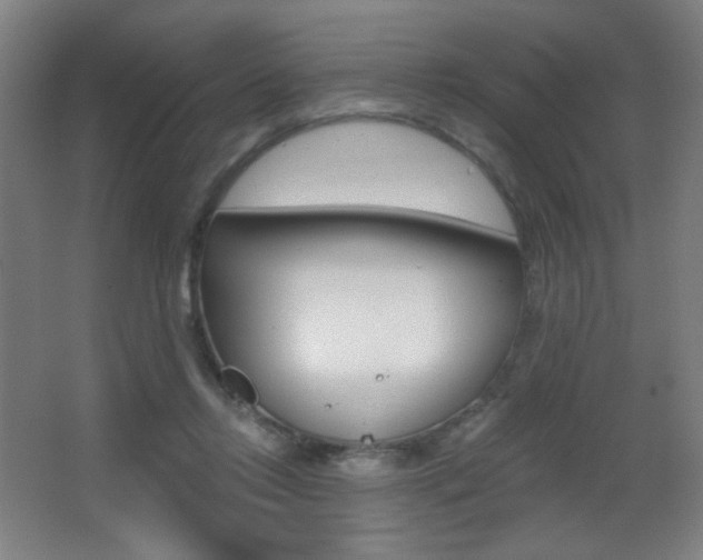 X0000068260358200604210920