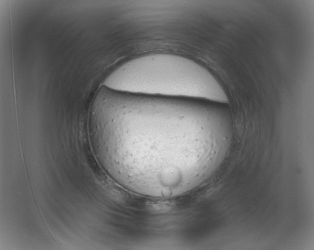 X0000068260359200604210920