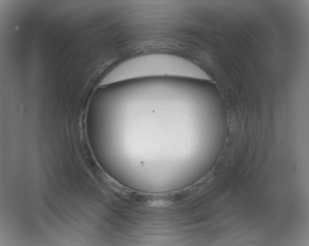 X0000068260360200604210920