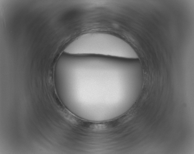 X0000068260361200604210920