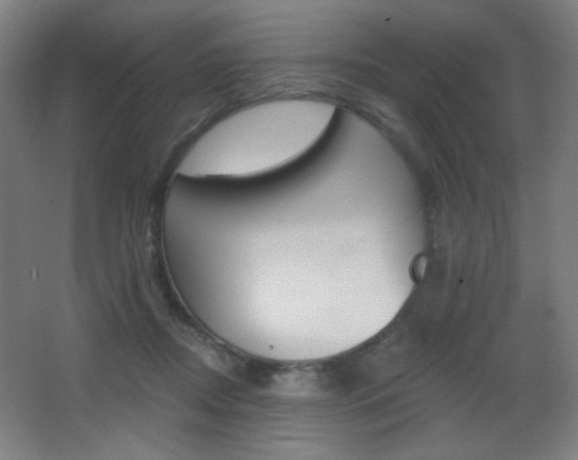 X0000068260362200604210920