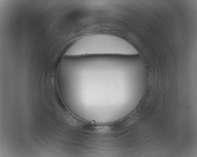 X0000068260363200604210920