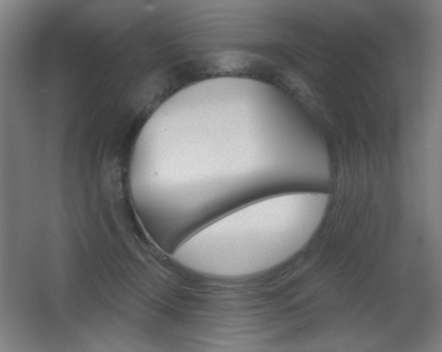 X0000068260366200604210920