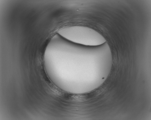 X0000068260367200604210920