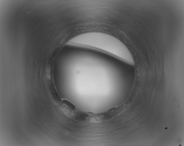 X0000068260368200604210920