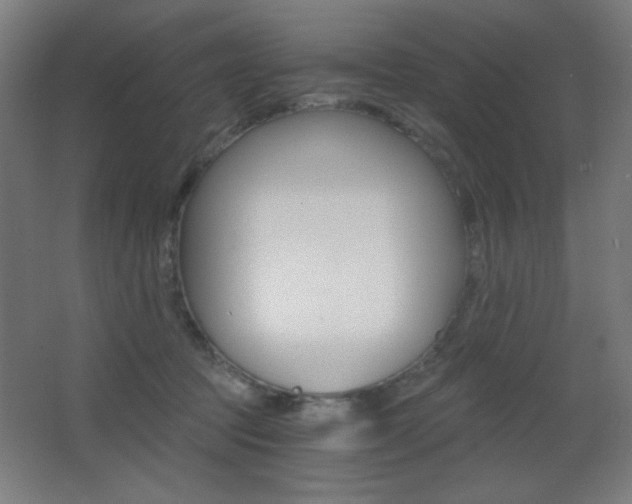 X0000068260369200604210920