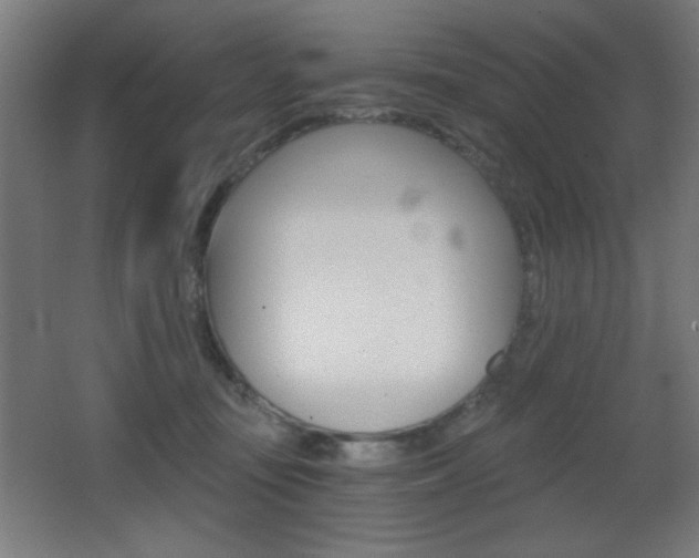 X0000068260371200604210920