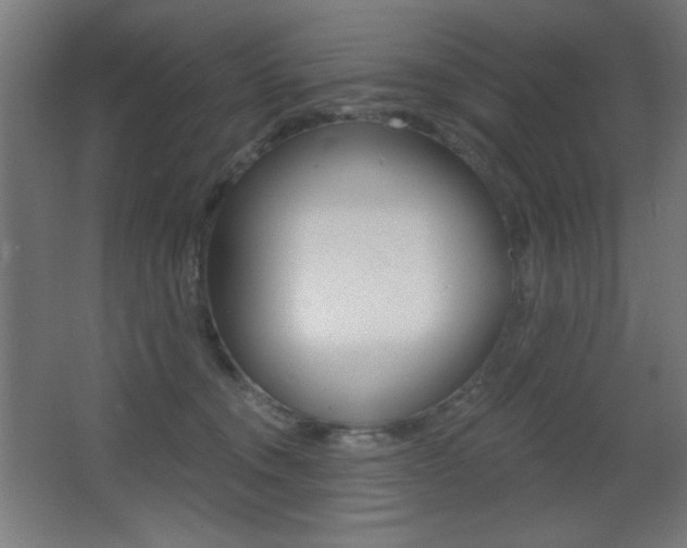 X0000068260372200604210920