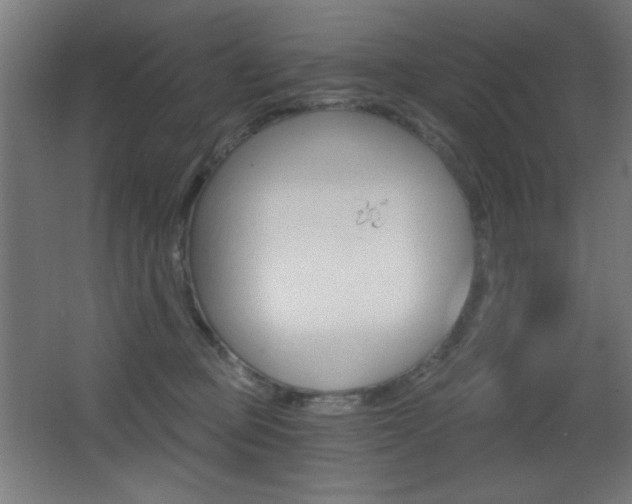 X0000068260373200604210920