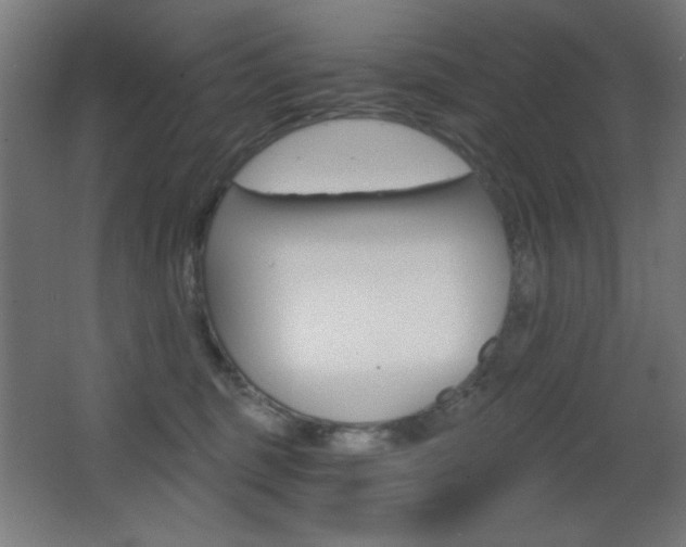 X0000068260375200604210920