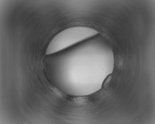 X0000068260378200604210921