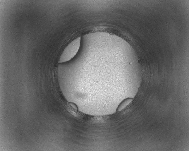 X0000068260381200604210921