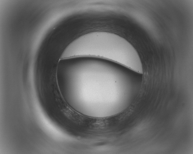 X0000068260383200604210921