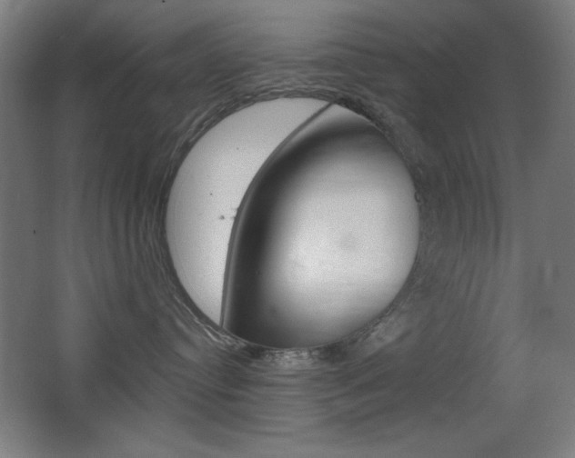 X0000068260384200604210921