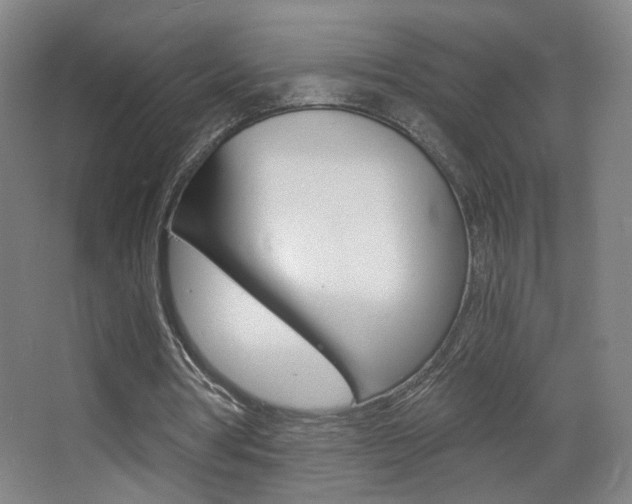 X0000068260386200604210920