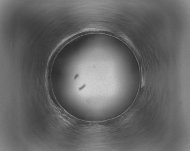 X0000068260387200604210920