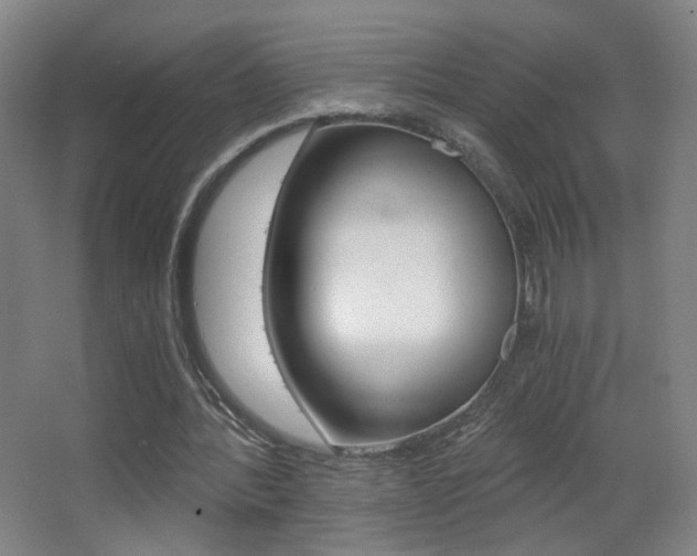 X0000068260388200604210920