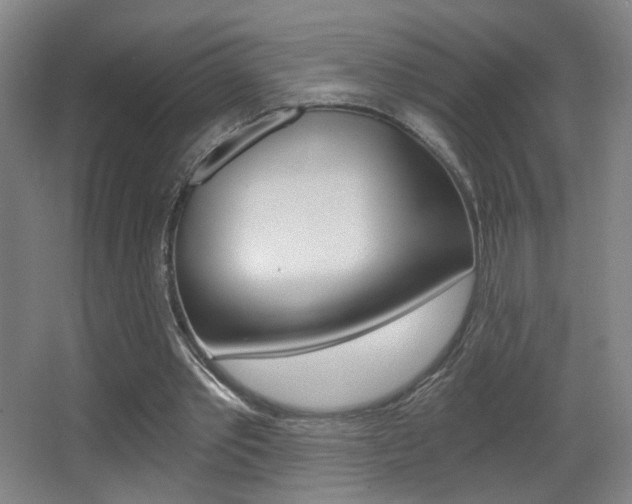 X0000068260389200604210920