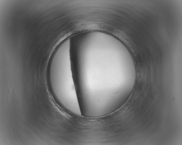 X0000068260390200604210920