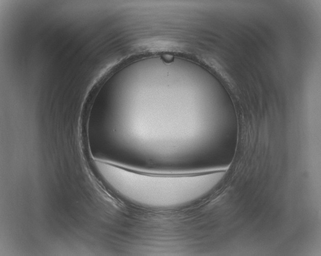 X0000068260391200604210920