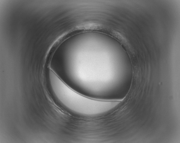 X0000068260392200604210920