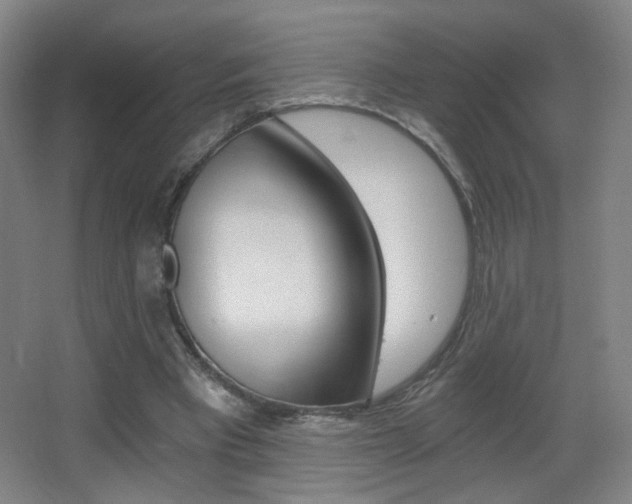 X0000068260393200604210920