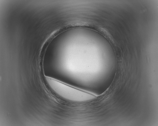 X0000068260395200604210920