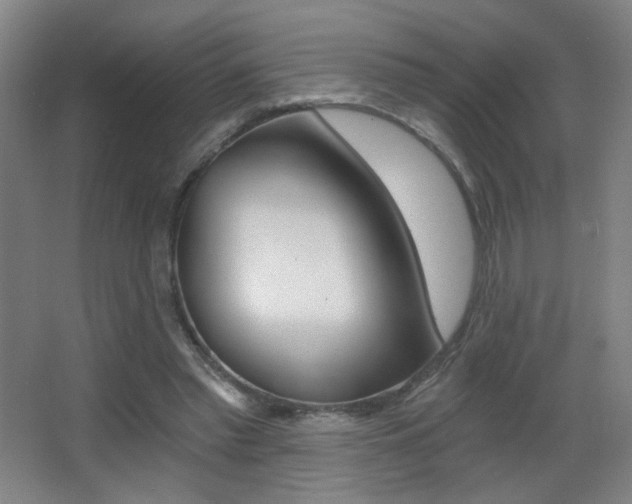 X0000068260397200604210920