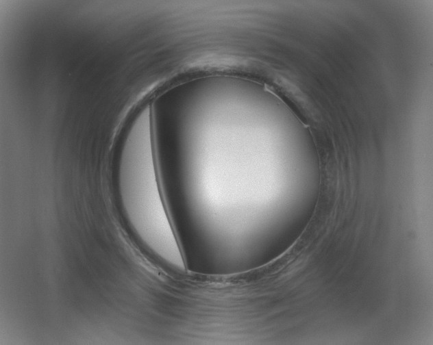 X0000068260399200604210920