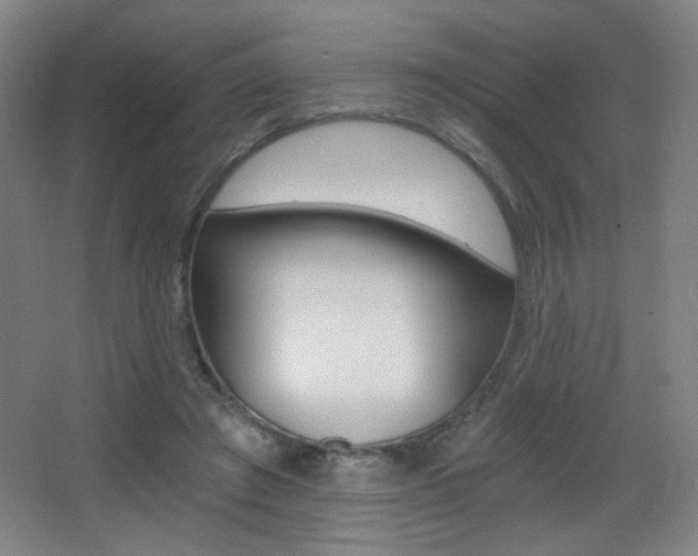 X0000068260401200604210920