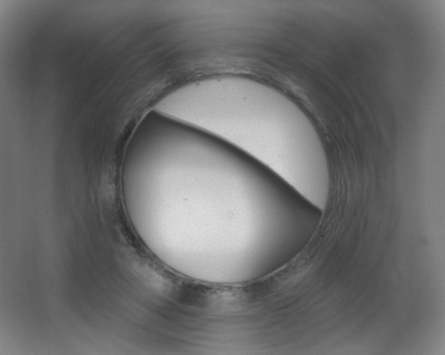 X0000068260402200604210920