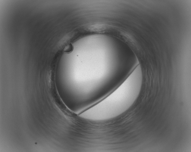 X0000068260404200604210919