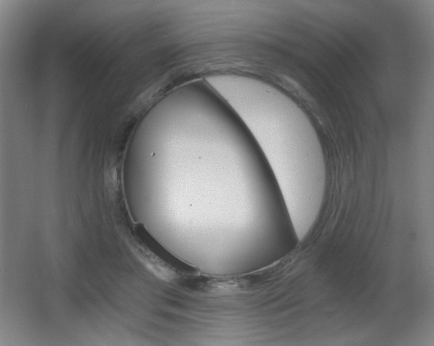 X0000068260405200604210919