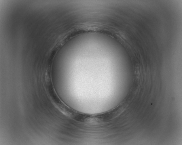 X0000068260408200604210919