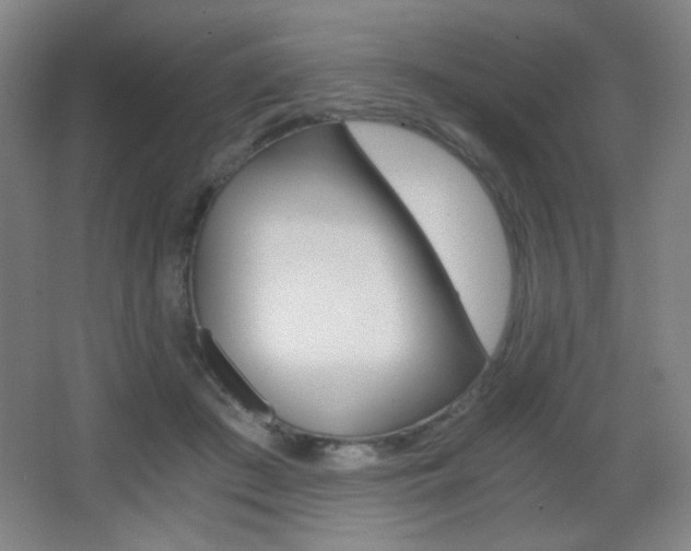 X0000068260409200604210919