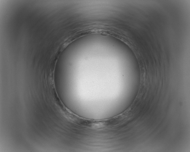 X0000068260411200604210919