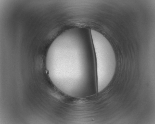 X0000068260412200604210919