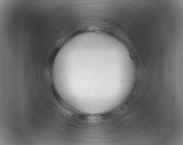 X0000068260415200604210919