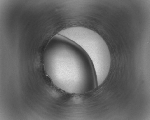 X0000068260416200604210919