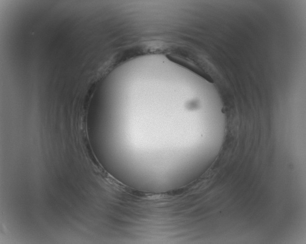 X0000068260417200604210919